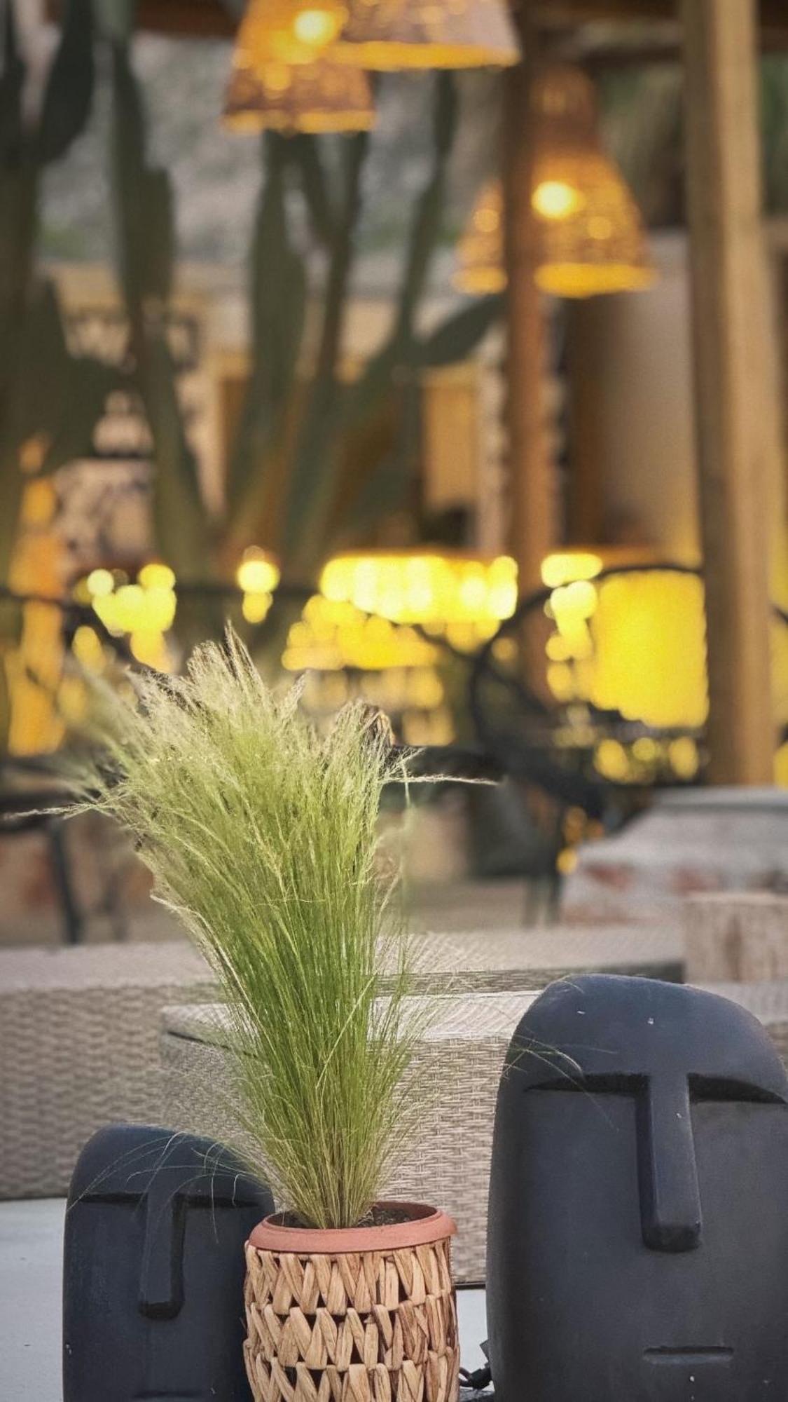 La Casa Di Lusso N3 - Adults Only Appartement Kolymbia