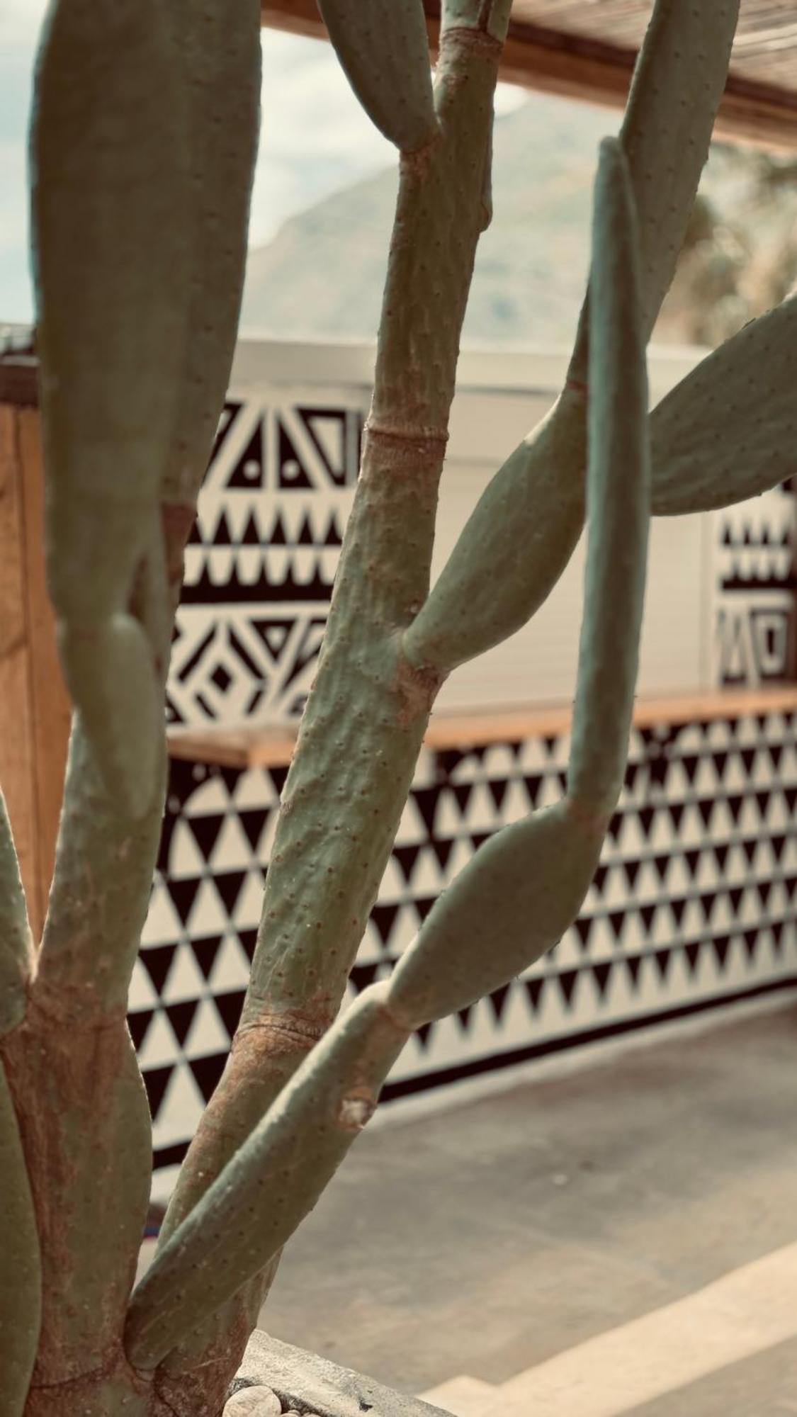 La Casa Di Lusso N3 - Adults Only Appartement Kolymbia